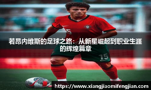 若昂内维斯的足球之路：从新星崛起到职业生涯的辉煌篇章