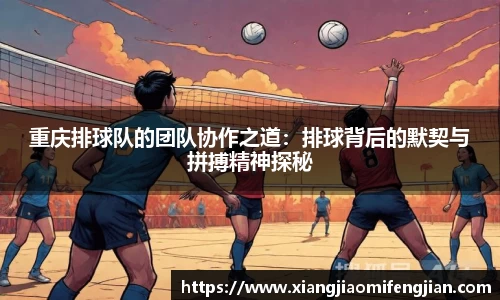 重庆排球队的团队协作之道：排球背后的默契与拼搏精神探秘