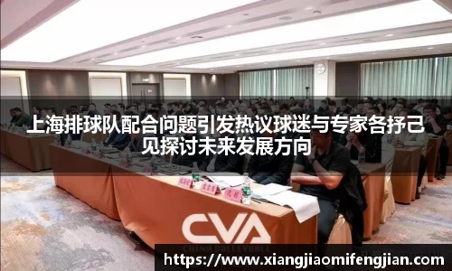上海排球队配合问题引发热议球迷与专家各抒己见探讨未来发展方向